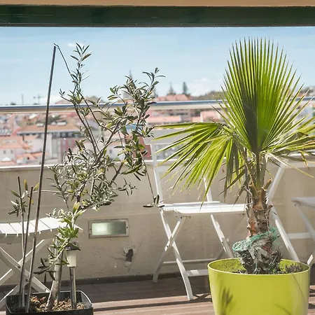 Apartment Lv Premier Apartments P.Real- Pi